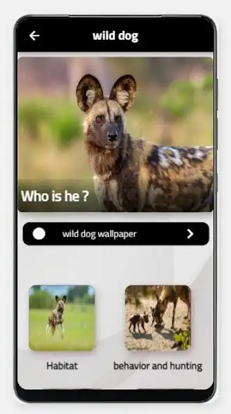 Play wild dog and enjoy wild dog with UptoPlay Play wild dog and enjoy wild dog with UptoPlay