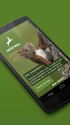 Play Wilde Tiere und Spuren 2 LITE  and enjoy Wilde Tiere und Spuren 2 LITE with UptoPlay