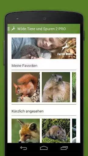 Play Wilde Tiere und Spuren 2 LITE as an online game Wilde Tiere und Spuren 2 LITE with UptoPlay