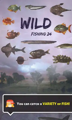 Play Wild Fishing 24
