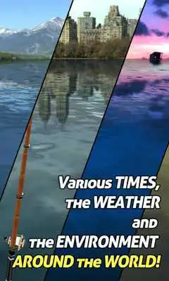 Play Wild Fishing 24