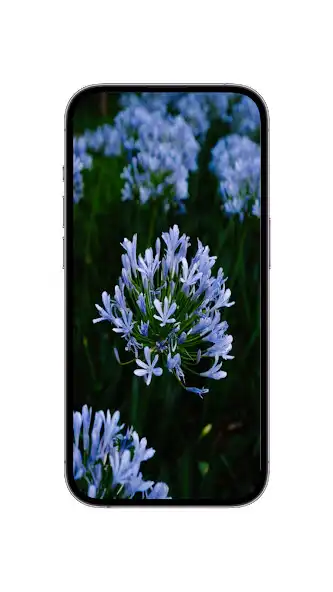 Play WildFlower Seeds : Wildflower as an online game online WildFlower Seeds : Wildflower with UptoPlay Play WildFlower Seeds : Wildflower as an online game WildFlower Seeds : Wildflower with UptoPlay