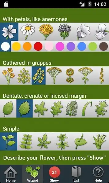 Play Wild flowers as an online game Wild flowers with UptoPlay
