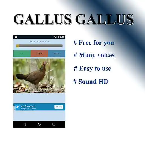 Play Wildfowl Sounds to the fox as an online game Wildfowl Sounds to the fox with UptoPlay