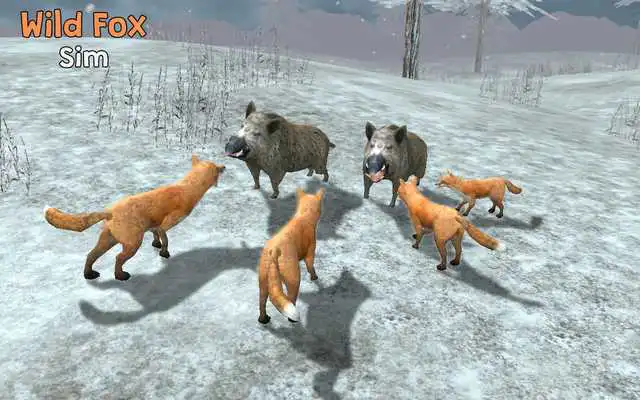 Play Wild Fox Sim