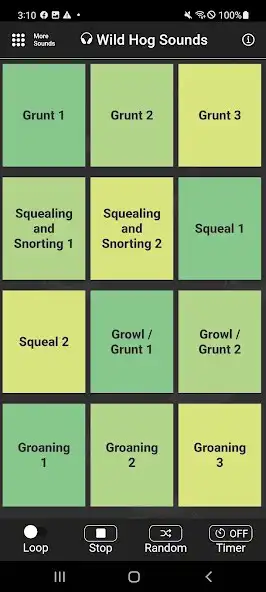 Play Wild Hog Sounds as an online game Wild Hog Sounds with UptoPlay