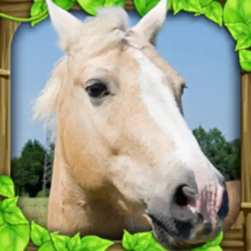 Play Wild Horse Simulator APK