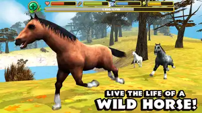 Play Wild Horse Simulator  and enjoy Wild Horse Simulator with UptoPlay