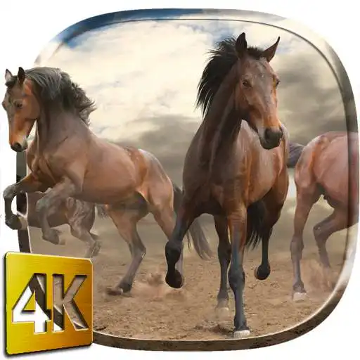 Free play online Wild Horses Live Wallpaper APK