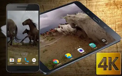 Play Wild Horses Live Wallpaper Play Wild Horses Live Wallpaper