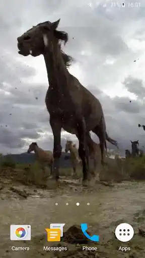 Play Wild Horses Live Wallpaper Play Wild Horses Live Wallpaper