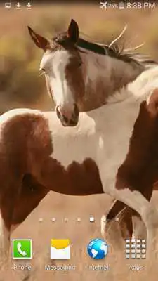 Play Wild Horses Live Wallpaper Play Wild Horses Live Wallpaper