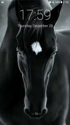 Play Wild Horses Lock Screen  and enjoy Wild Horses Lock Screen with UptoPlay