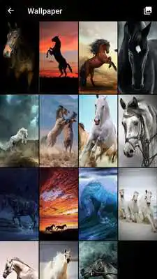 Play Wild Horses Lock Screen