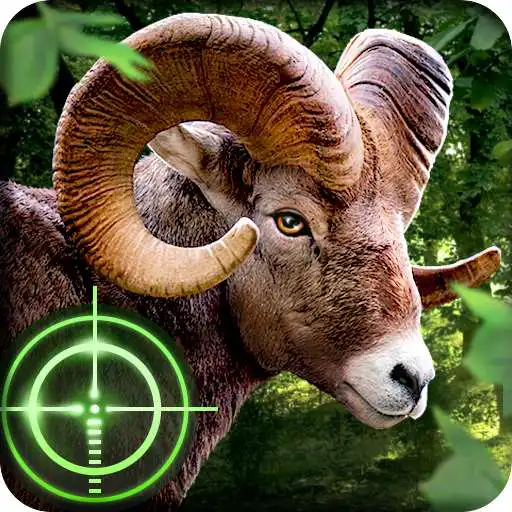 Play Wild Hunter 3D APK