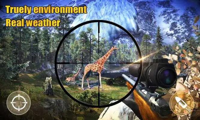 Play Wild Hunt: Sport Hunting Play Wild Hunt: Sport Hunting
