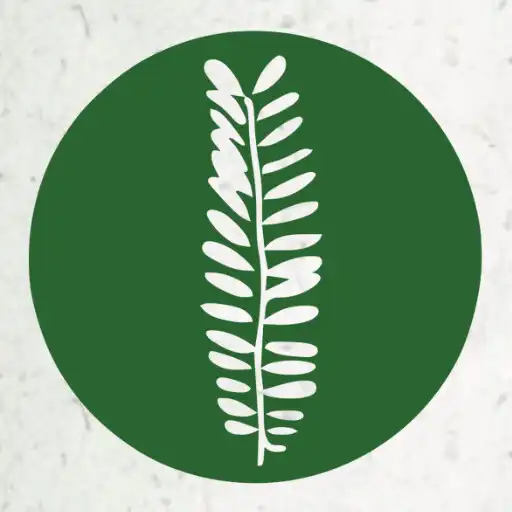 Play Wild Ideas Store App APK