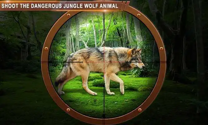 Play Wild Jungle Animals Sniper Hunting