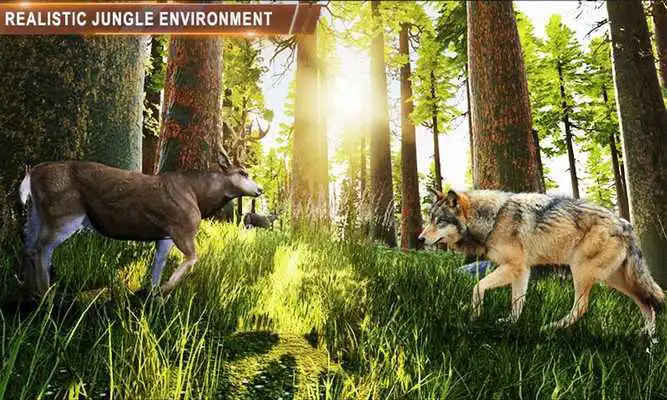 Play Wild Jungle Animals Sniper Hunting