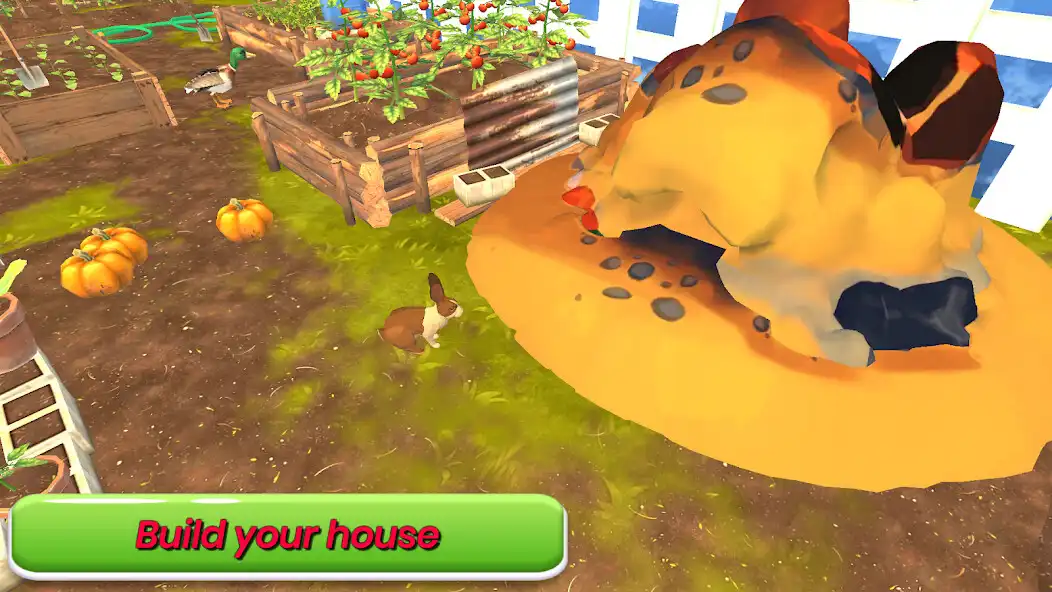 Play Wild Jungle Rabbit Games  and enjoy Wild Jungle Rabbit Games with UptoPlay