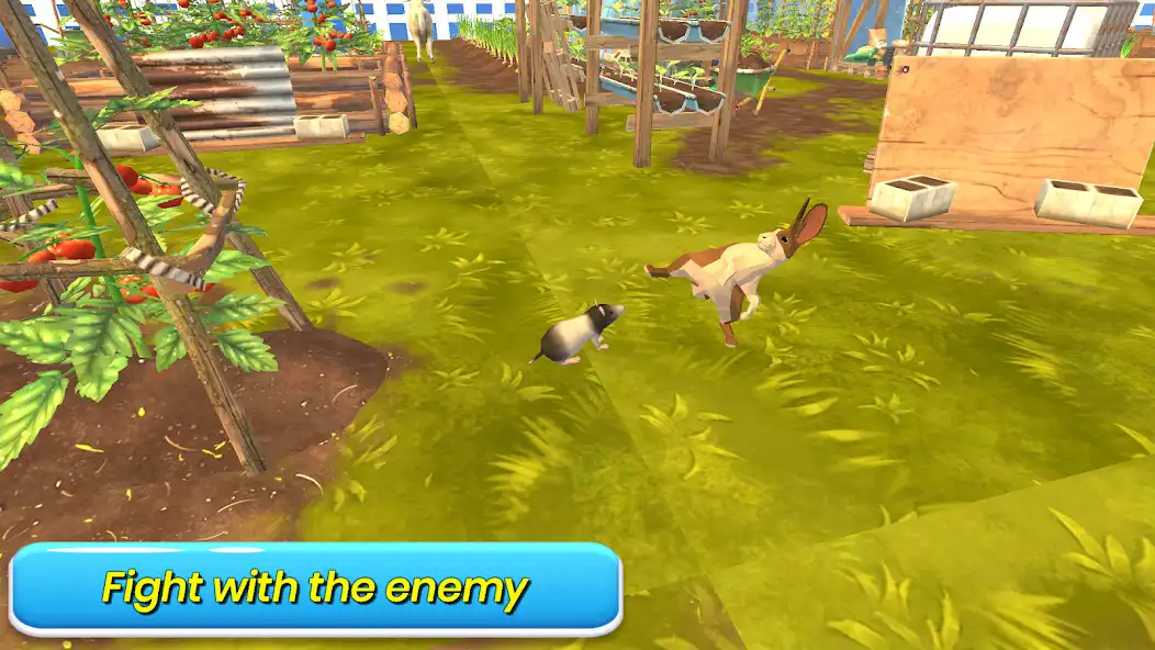 Play Wild Jungle Rabbit Games as an online game Wild Jungle Rabbit Games with UptoPlay
