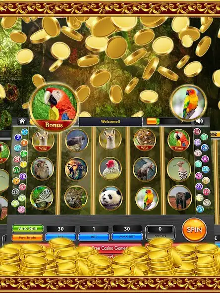 Play Wild Jungle Slots  and enjoy Wild Jungle Slots with UptoPlay