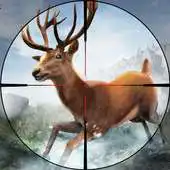 Free play online Wildland Animal Hunting APK Free play online Wildland Animal Hunting APK