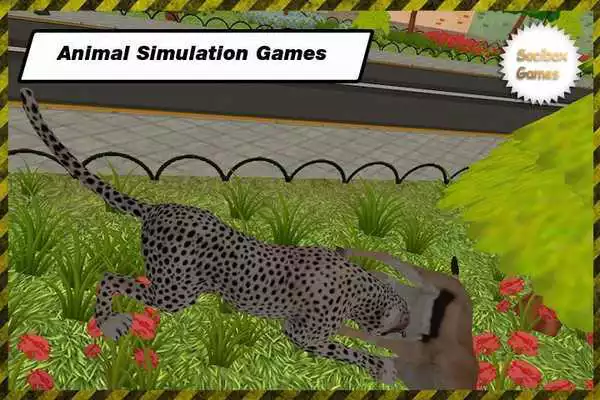 Play Wild Leopar Simulation Play Wild Leopar Simulation