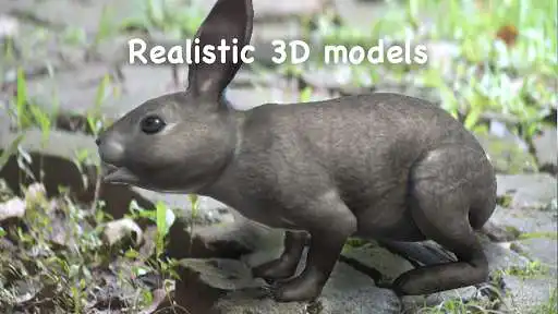 Play APK Wildlife AR - ARCore  and enjoy Wildlife AR - ARCore with UptoPlay com.crazylabs.arwildlife