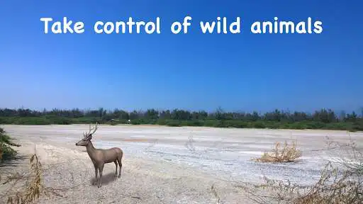 Play APK Wildlife AR - ARCore  and enjoy Wildlife AR - ARCore with UptoPlay com.crazylabs.arwildlife