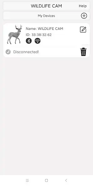 Play WILDLIFE CAM  and enjoy WILDLIFE CAM with UptoPlay