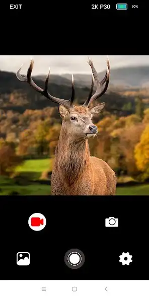 Play WILDLIFE CAM as an online game WILDLIFE CAM with UptoPlay