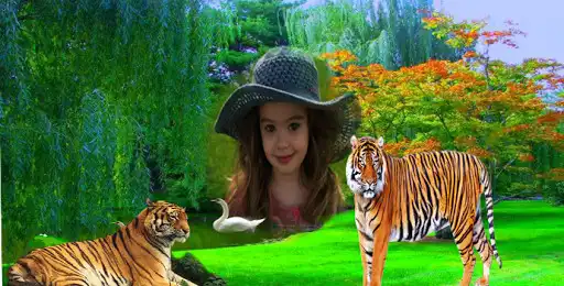Play Wildlife Photo Frames HD as an online game Wildlife Photo Frames HD with UptoPlay