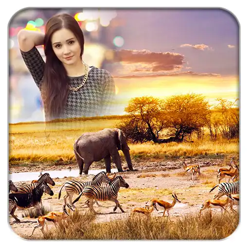 Free play online Wildlife Photo Frames APK Free play online Wildlife Photo Frames APK