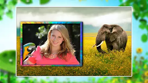Play Wildlife Photo Frames