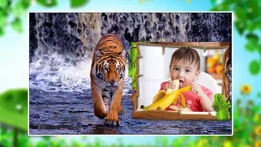 Play Wildlife Photo Frames