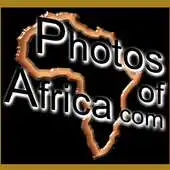 Free play online Wildlife Photo Safaris APK Free play online Wildlife Photo Safaris APK