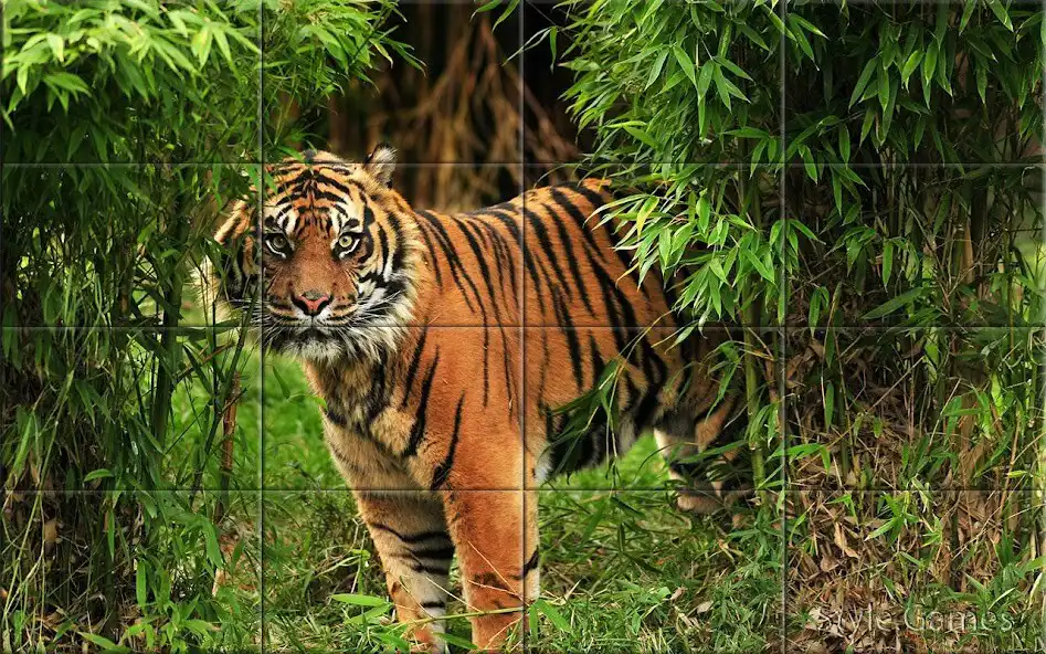 Play Wildlife Puzzle as an online game Wildlife Puzzle with UptoPlay