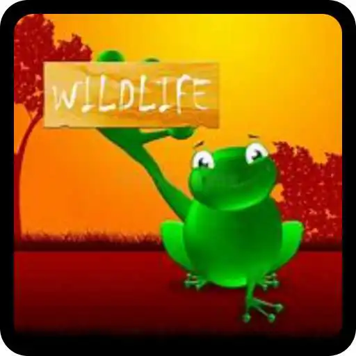 Play Wildlife Quiz APK
