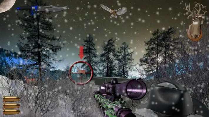Play Wildlife Snowfall Jungle Red Deer Shooting HD Play Wildlife Snowfall Jungle Red Deer Shooting HD