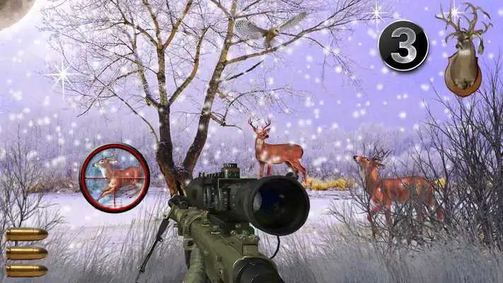 Play Wildlife Snowfall Jungle Red Deer Shooting HD Play Wildlife Snowfall Jungle Red Deer Shooting HD