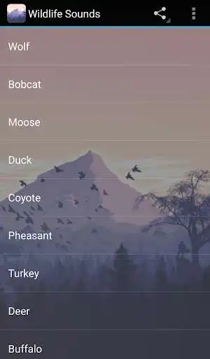 Play Wildlife Sounds
