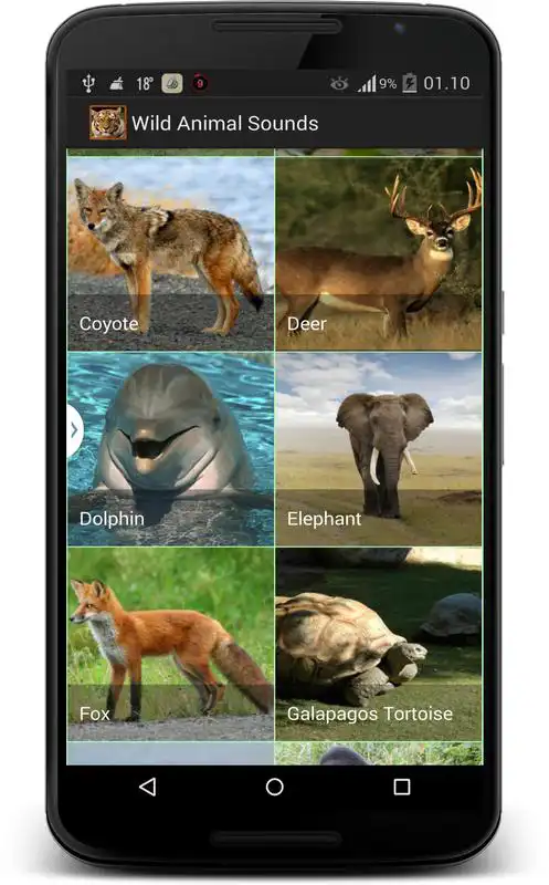Play Wildlife Sounds