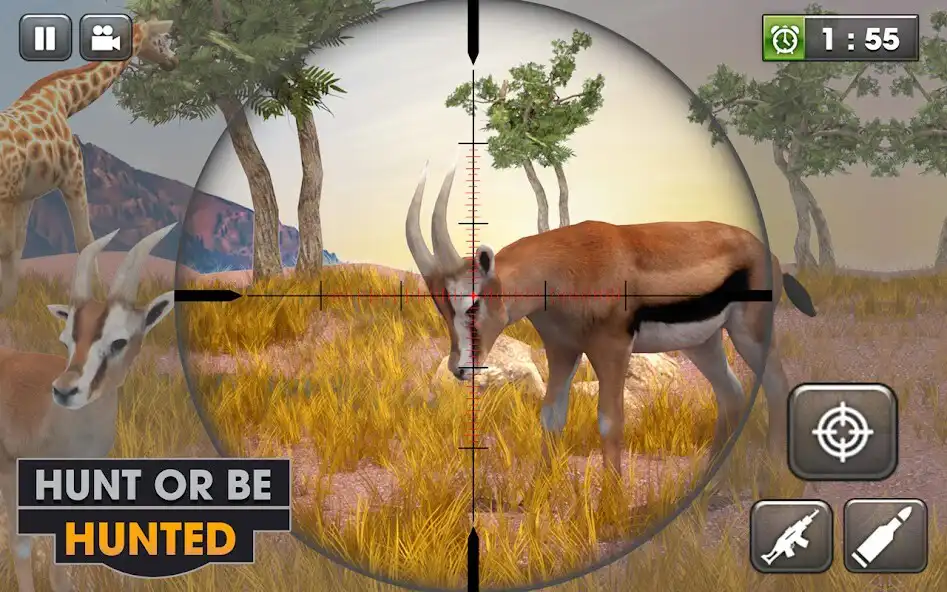Play Wildlife SUV Hunting Game  and enjoy Wildlife SUV Hunting Game with UptoPlay