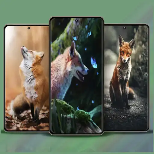 Play Wildlife Wonders Animals walls APK