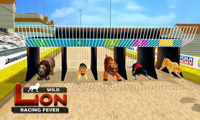 Play Wild Lion Racing Fever