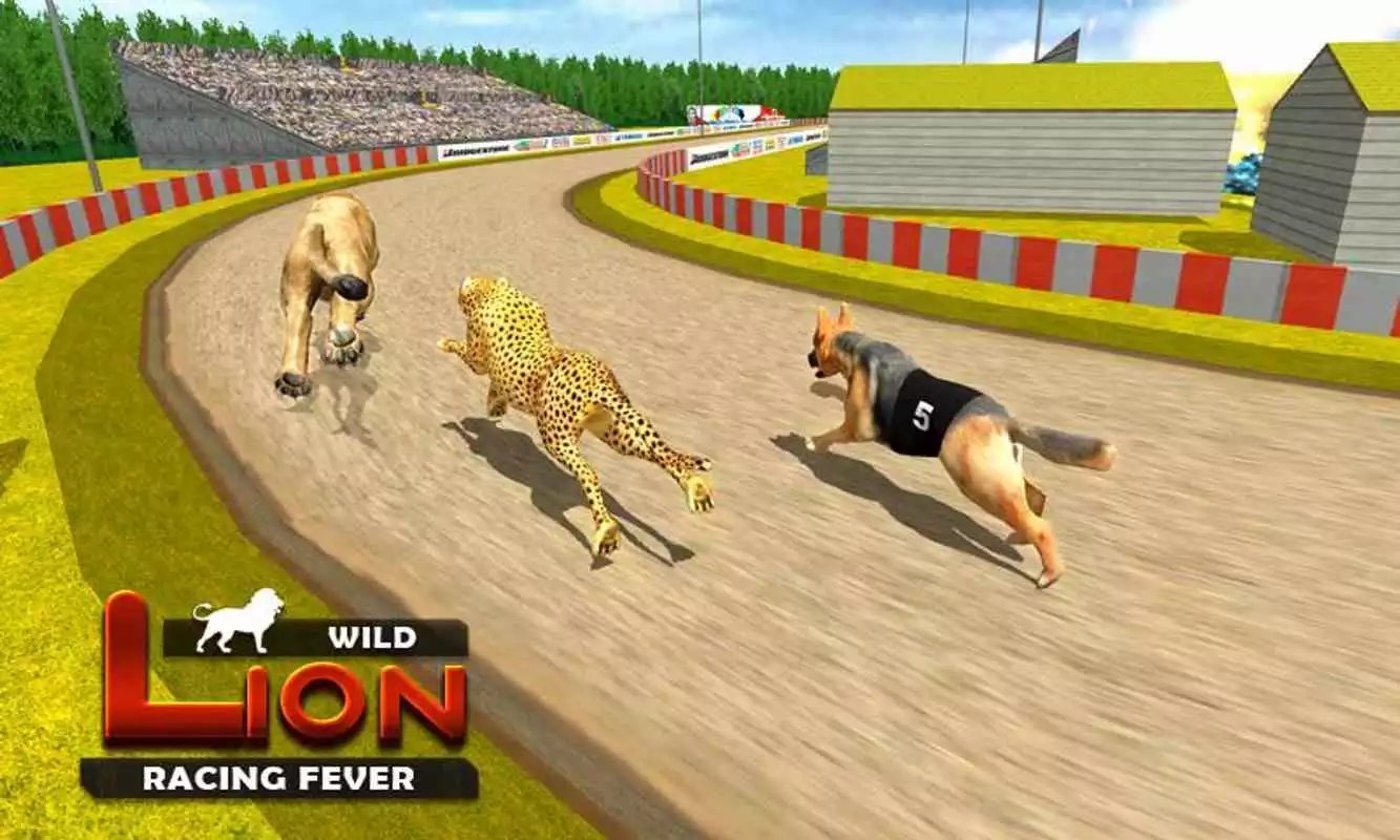 Play Wild Lion Racing Fever