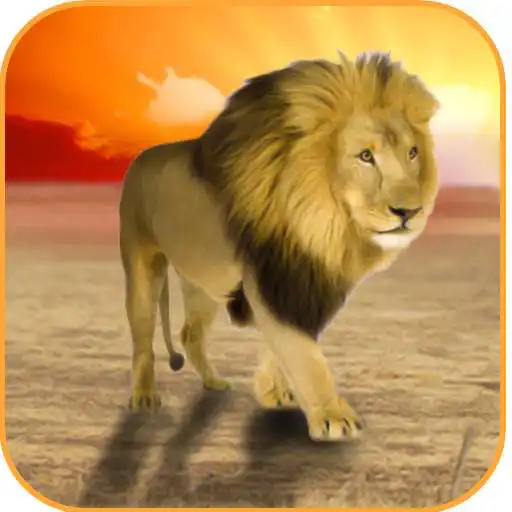 Play Wild Lion Simulator 2016 APK