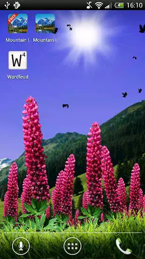 Play Wild Lupins Free  and enjoy Wild Lupins Free with UptoPlay