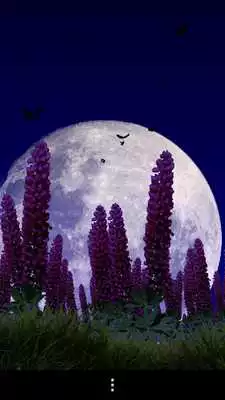 Play Wild Lupins Free Play Wild Lupins Free